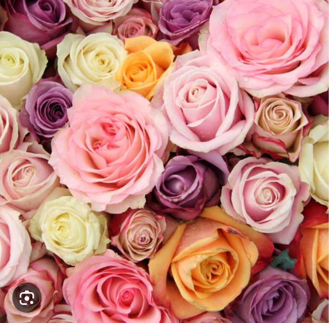 Assorted colour roses beautiful wrapped
