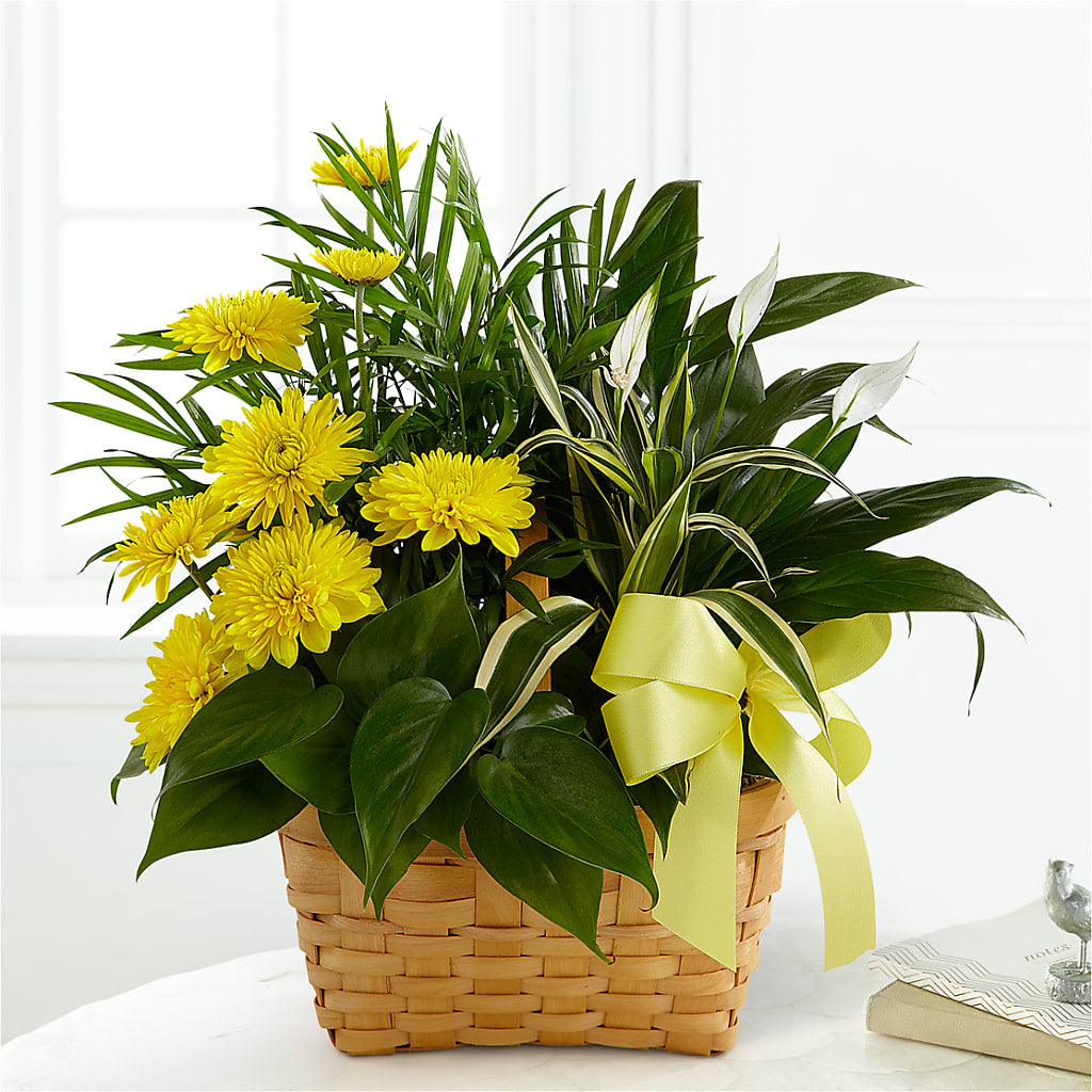 Loving Light Dishgarden – Trail Florist Incorporated, Trail BC