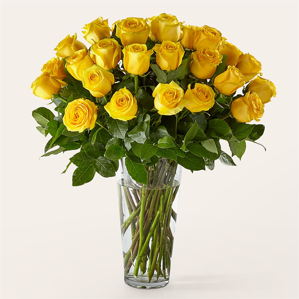 Long Stem Yellow Rose Bouquet – Trail Florist Incorporated, Trail BC