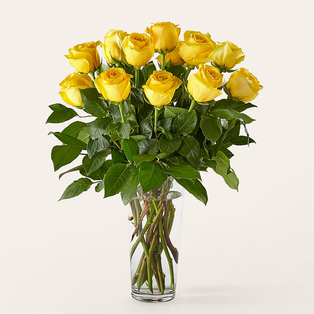 Long Stem Yellow Rose Bouquet – Trail Florist Incorporated, Trail BC