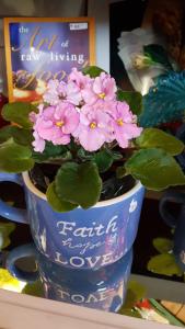 Belle plante à fleurs dans une tasse