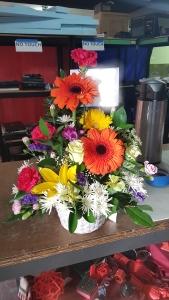 Mélange du jardin d'Eden