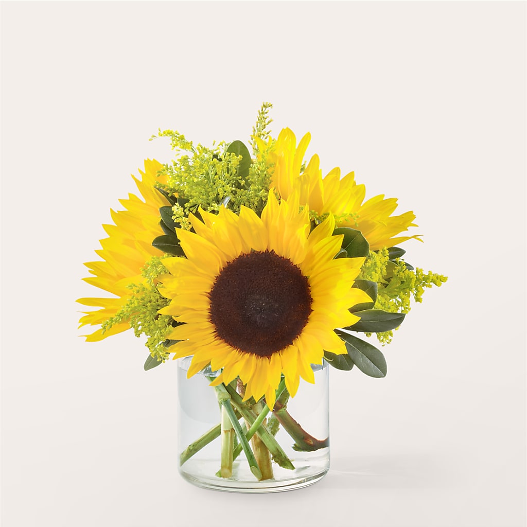 Beaming Sunflower Bouquet – Trail Florist Incorporated, Trail BC