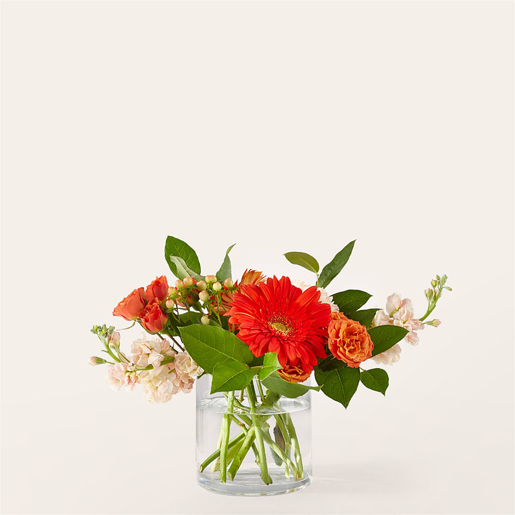 Paloma Please Bouquet – Trail Florist Incorporated, Trail BC