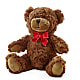 Adorable Plush Bear –  Trail Florist Incorporated, Trail BC