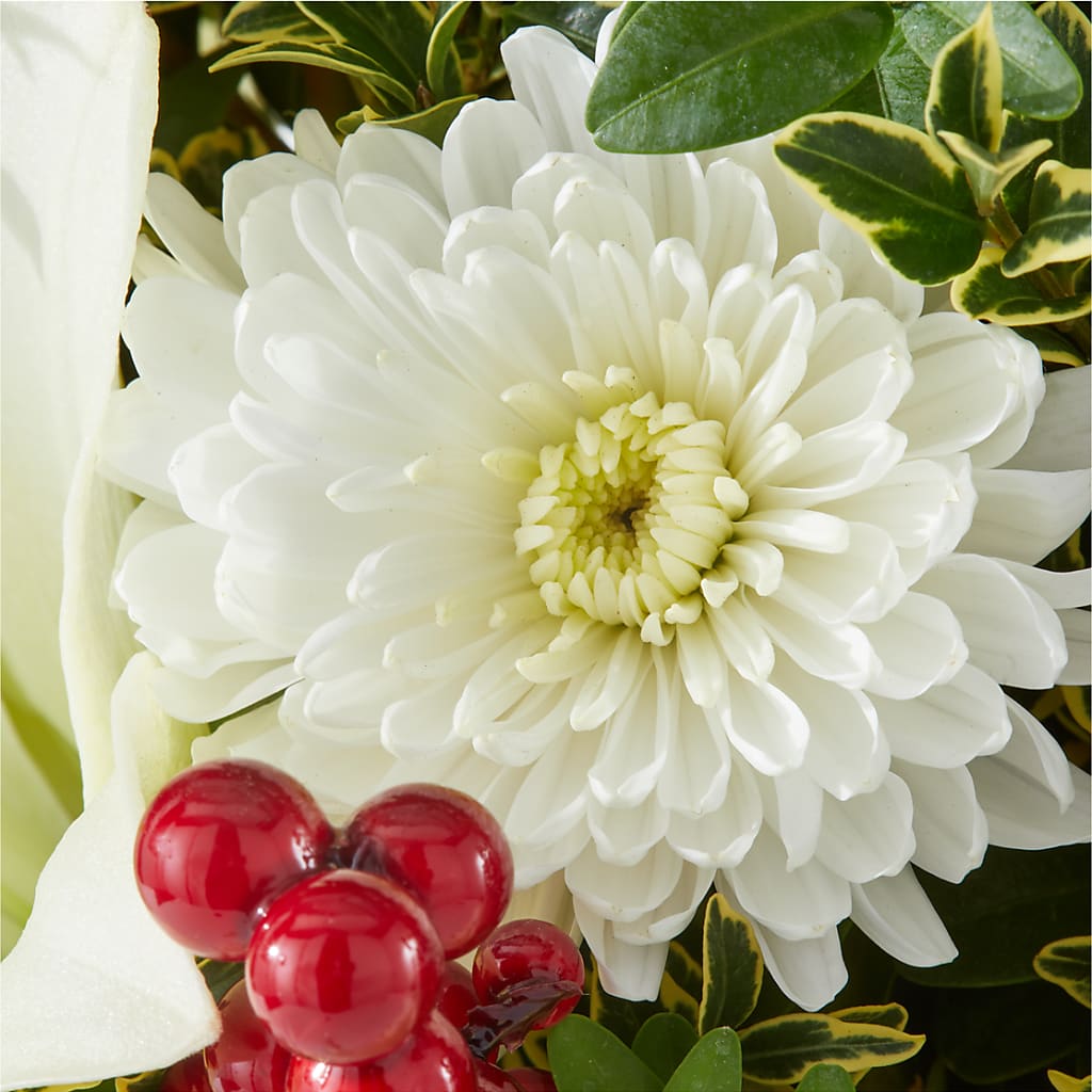 Festive Moments Tree –  Trail Florist Incorporated, Trail BC