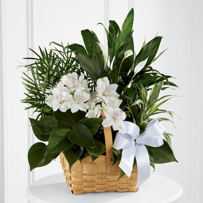 Peace & Serenity Dishgarden –  Trail Florist Incorporated, Trail BC