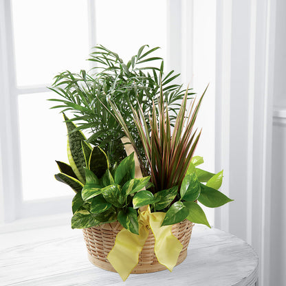 French Garden –  Trail Florist Incorporated, Trail BC