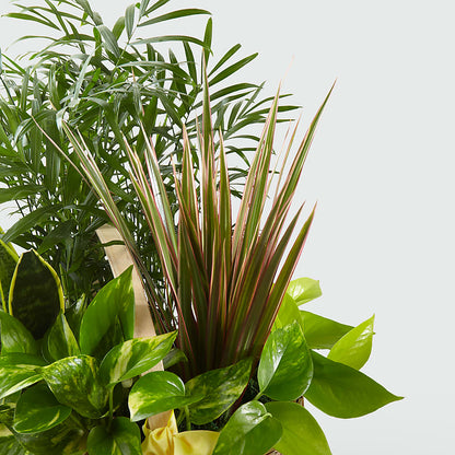 French Garden –  Trail Florist Incorporated, Trail BC