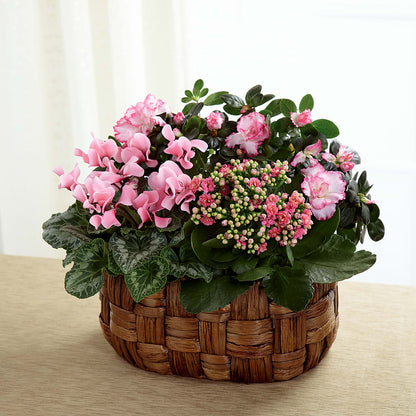 Pink Assortment –  Trail Florist Incorporated, Trail BC