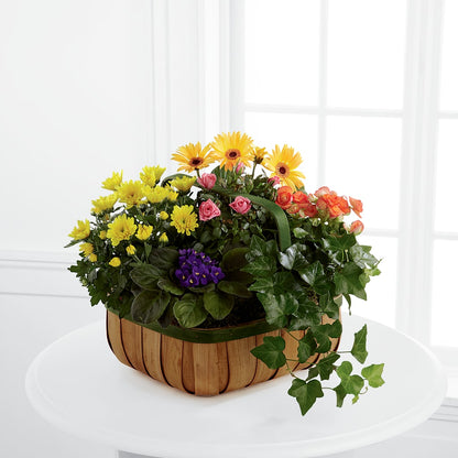 Gentle Blossoms Basket –  Trail Florist Incorporated, Trail BC