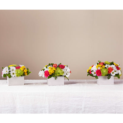 Sorbet Bouquet –  Trail Florist Incorporated, Trail BC