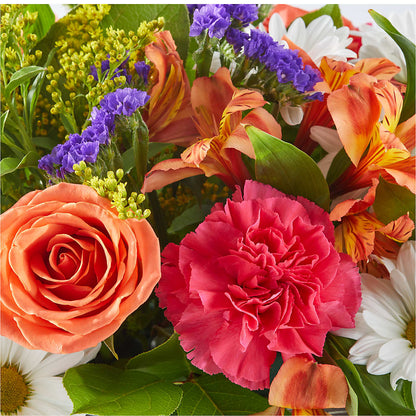 Oopsie Daisy Box Bouquet –  Trail Florist Incorporated, Trail BC