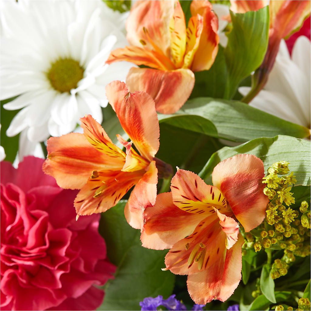 Oopsie Daisy Box Bouquet –  Trail Florist Incorporated, Trail BC