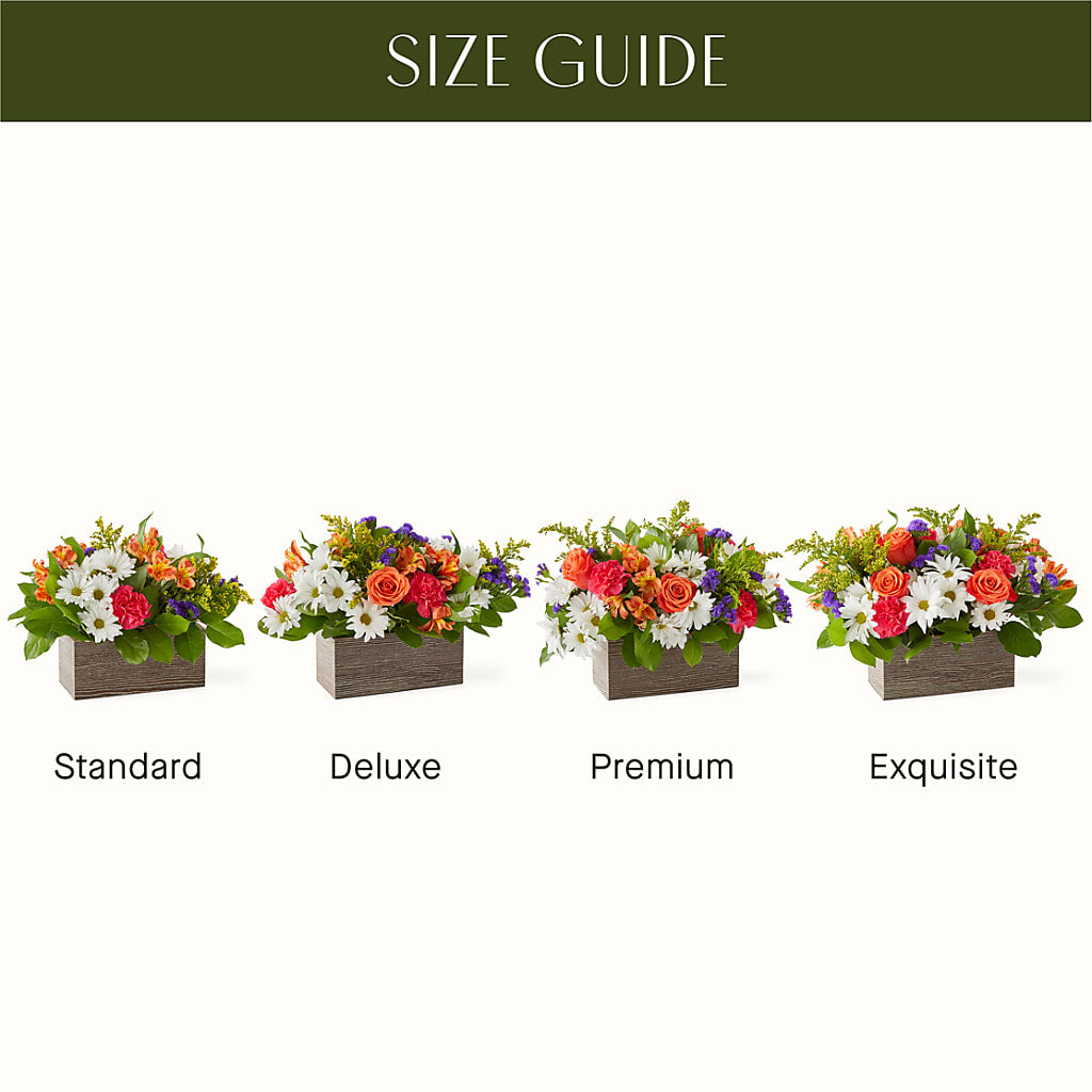 Oopsie Daisy Box Bouquet –  Trail Florist Incorporated, Trail BC