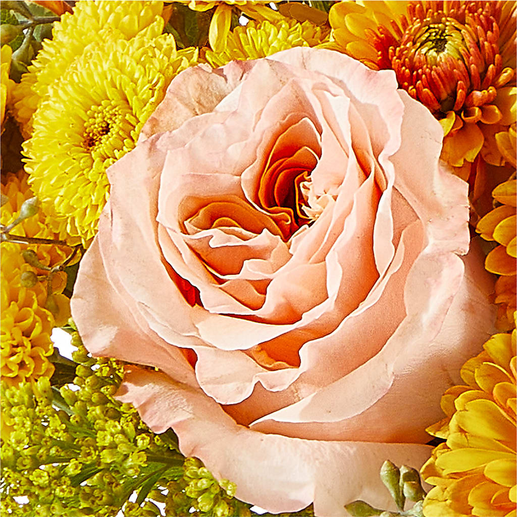 Peachy Pumpkin –  Trail Florist Incorporated, Trail BC