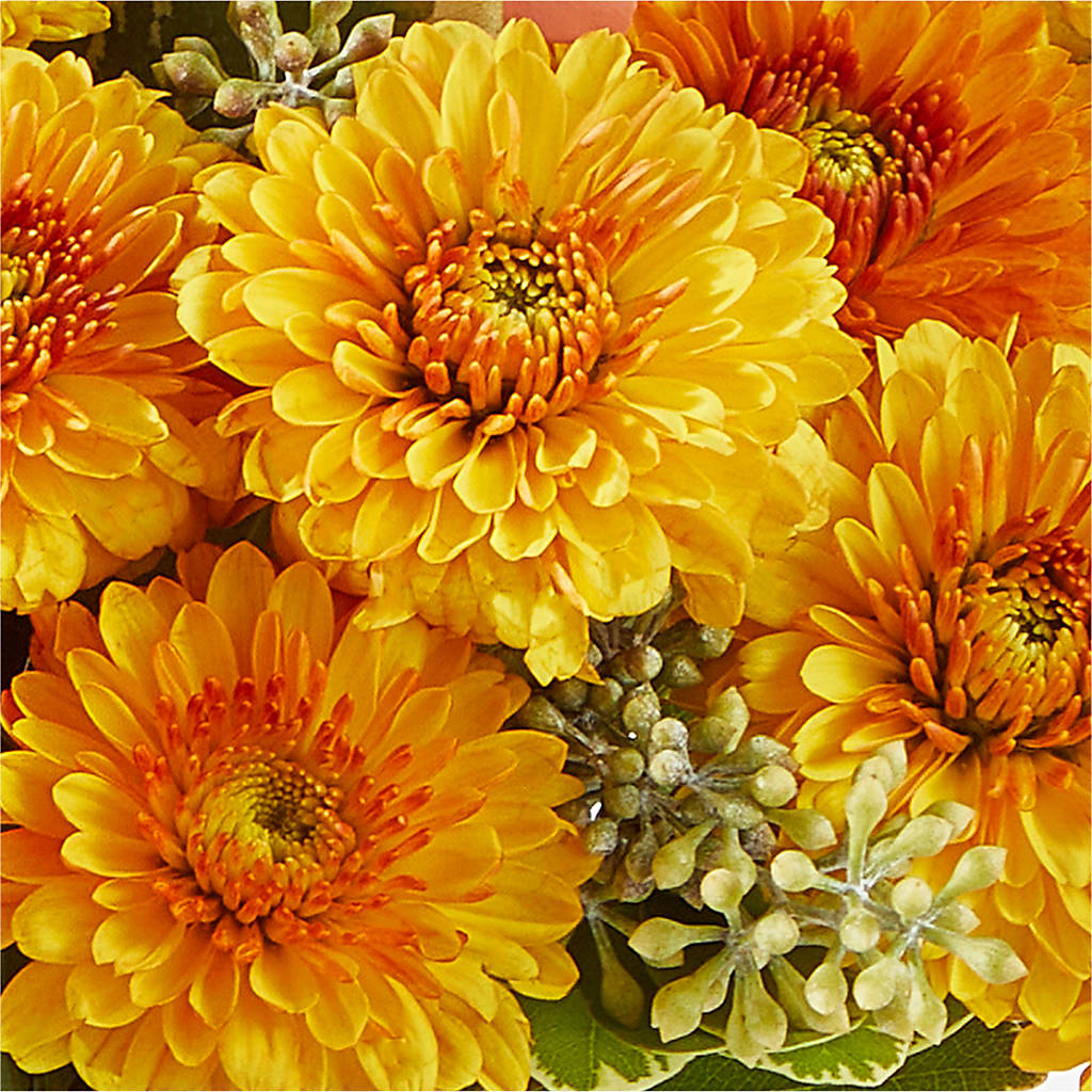 Peachy Pumpkin –  Trail Florist Incorporated, Trail BC