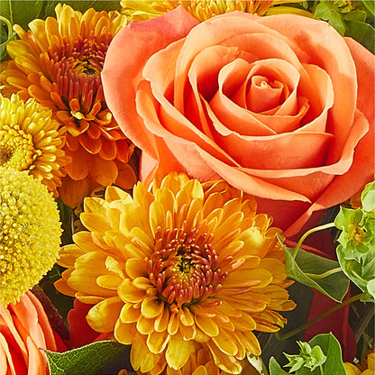 Gourdgeous Pumpkin –  Trail Florist Incorporated, Trail BC