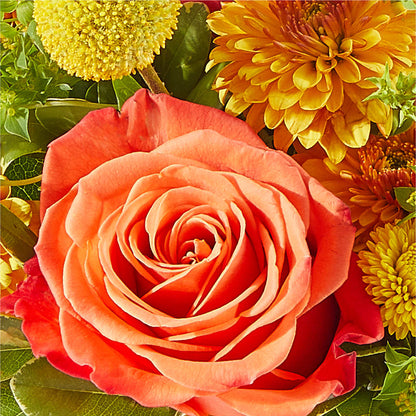 Gourdgeous Pumpkin –  Trail Florist Incorporated, Trail BC