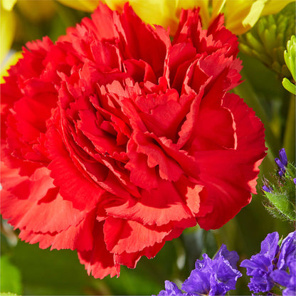Brighter Days Bouquet –  Trail Florist Incorporated, Trail BC
