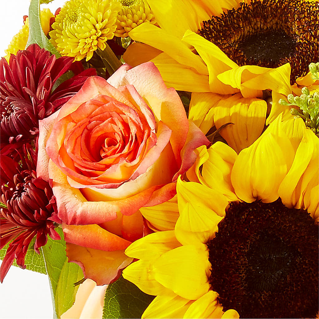 Golden Gourd Pumpkin Bouquet –  Trail Florist Incorporated, Trail BC
