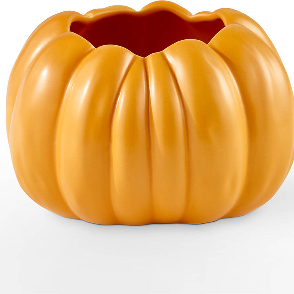 Golden Gourd Pumpkin Bouquet –  Trail Florist Incorporated, Trail BC