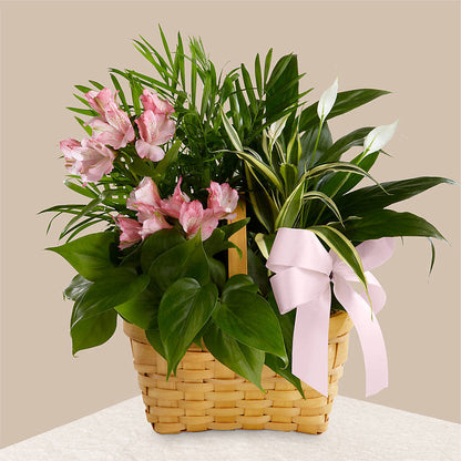 Living Spirit Dishgarden –  Trail Florist Incorporated, Trail BC