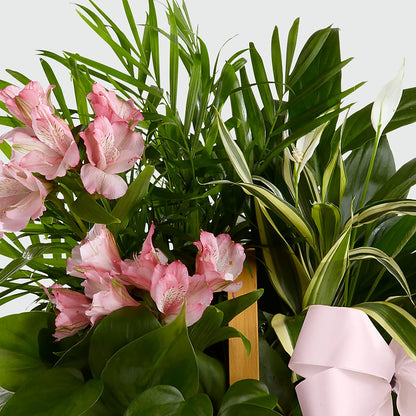 Living Spirit Dishgarden –  Trail Florist Incorporated, Trail BC