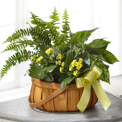 Always Dear Dishgarden –  Trail Florist Incorporated, Trail BC