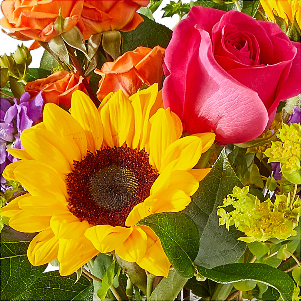 Vibrant Greetings Bouquet –  Trail Florist Incorporated, Trail BC