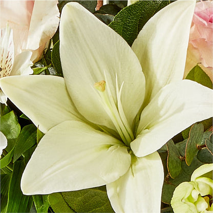 Ballet Slippers Bouquet –  Trail Florist Incorporated, Trail BC