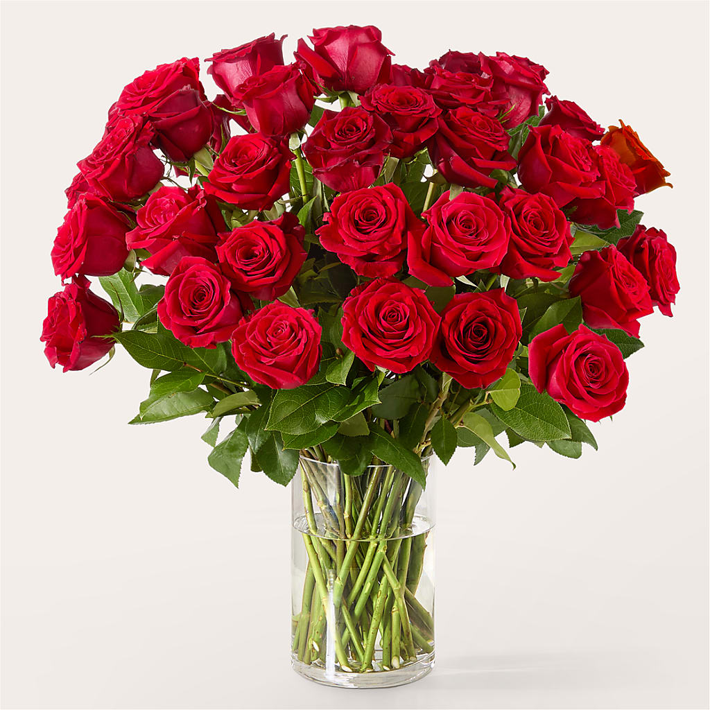 The One Red Rose Bouquet –  Trail Florist Incorporated, Trail BC