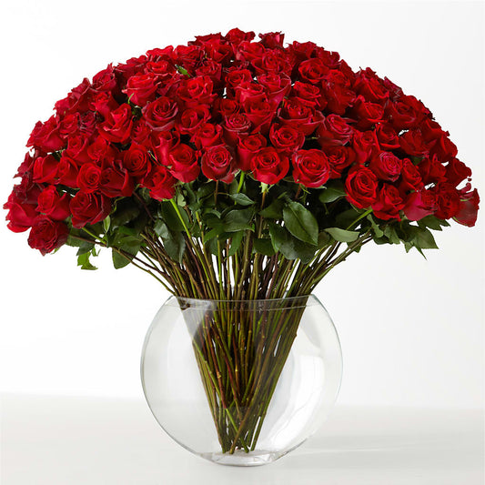 The Idealist –  Trail Florist Incorporated, Trail BC