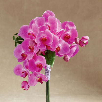 Glorious Bouquet –  Trail Florist Incorporated, Trail BC