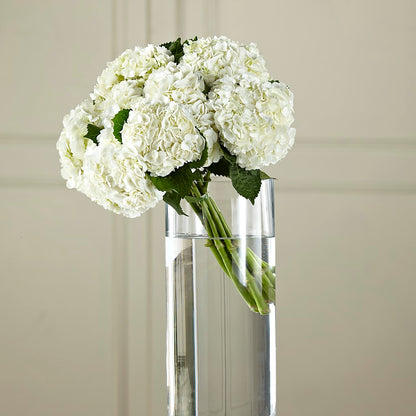White Hydrangea Hand-Tied Bouquet –  Trail Florist Incorporated, Trail BC