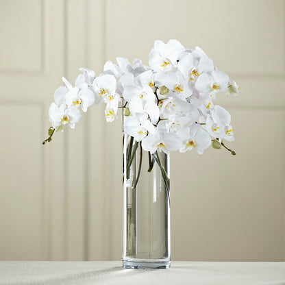 White Phalaenopsis Bouquet –  Trail Florist Incorporated, Trail BC