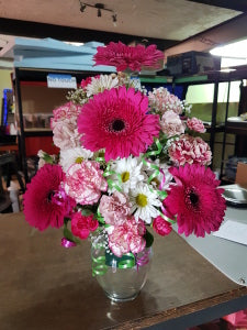 Hot Pink Gerber Daisy